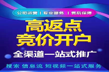百度竞价广告投放成功案例解析